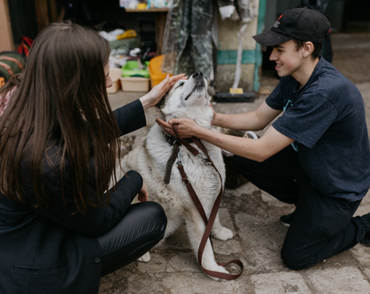 TIPS for Shelter, Supporting Animals