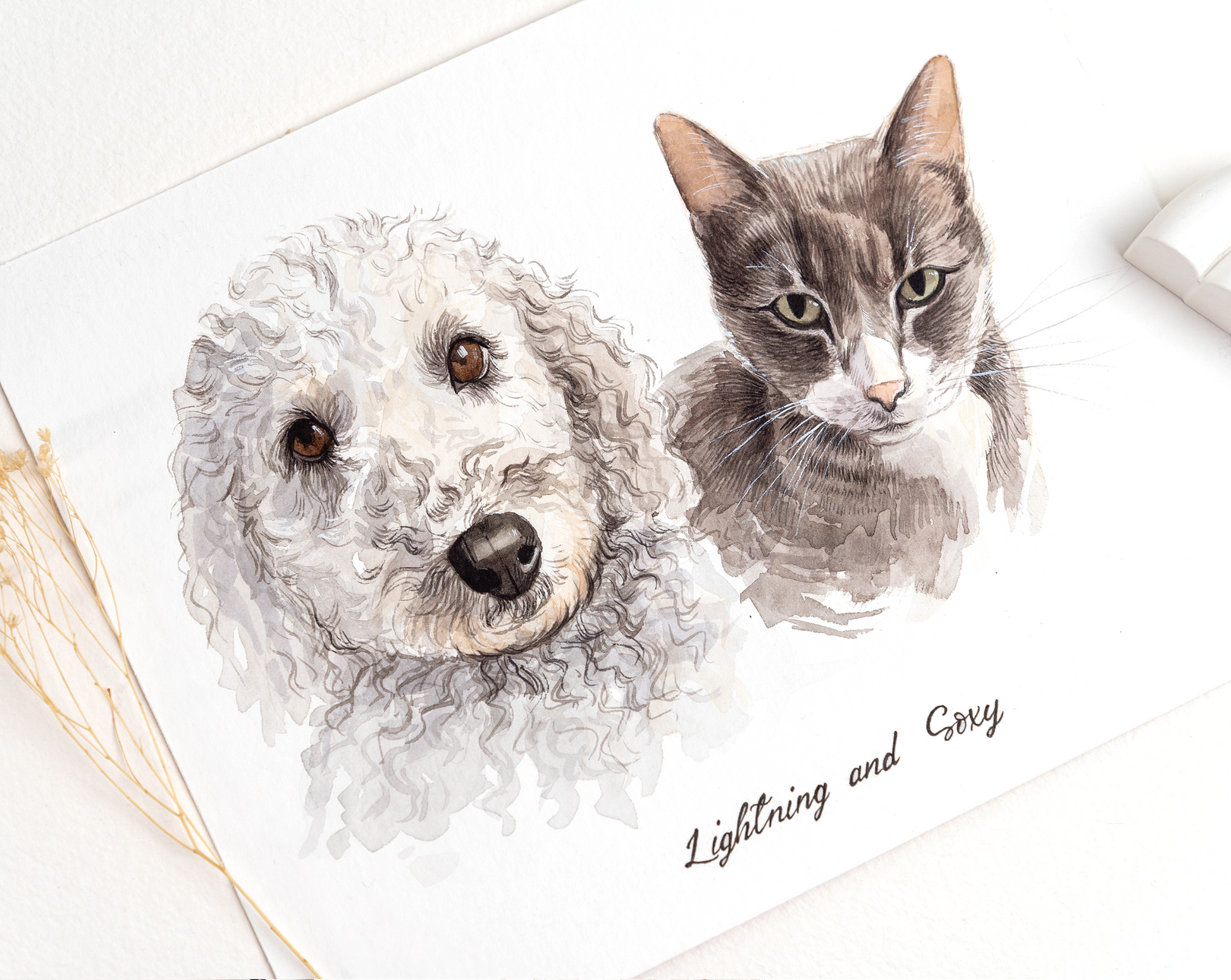 Two Pet Portrait | Watercolor Pet Portrait