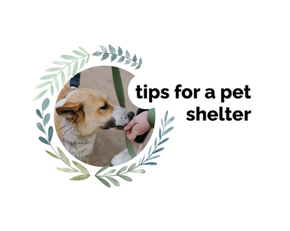 TIPS for Shelter, Supporting Animals